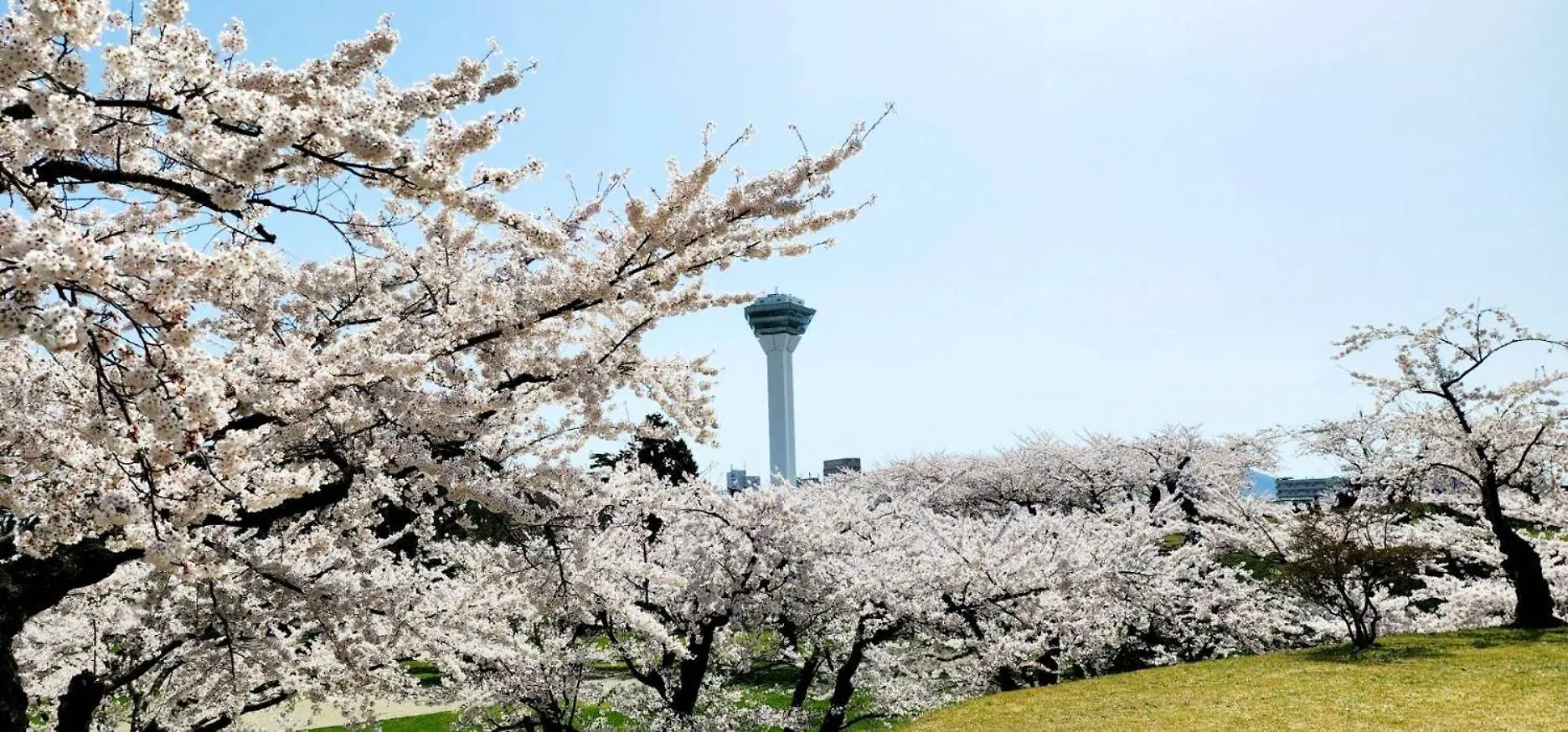 Yunohama Hotel Hakodate Japan