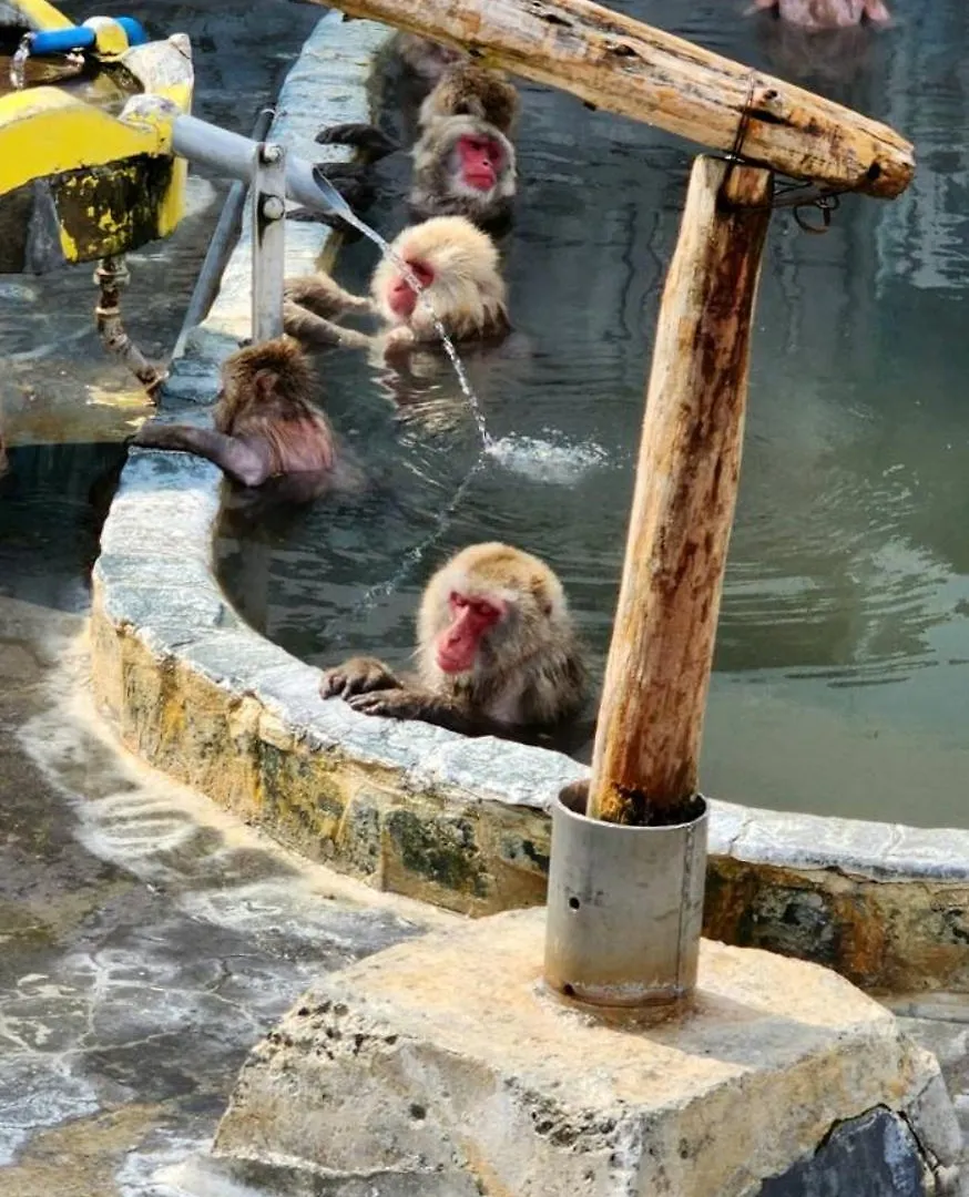 Yunohama Hotel Хакодате Рёкан